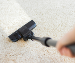 professional carpet cleaning tierra verde
