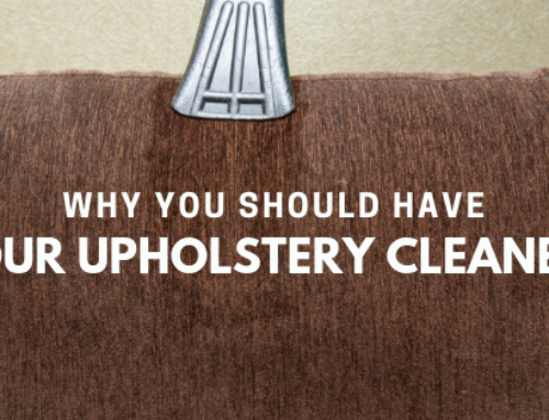 Why You Should Have Your Upholstery Cleaned